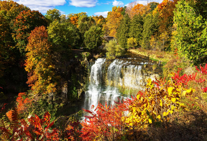 Webster Falls is close to hiking trails, beautiful green space and great amenities and restaurants in town.