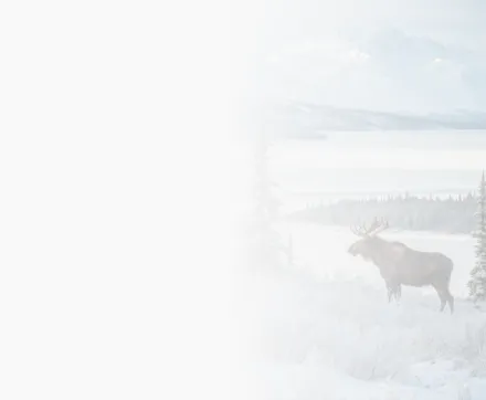 Applying With Our Support background